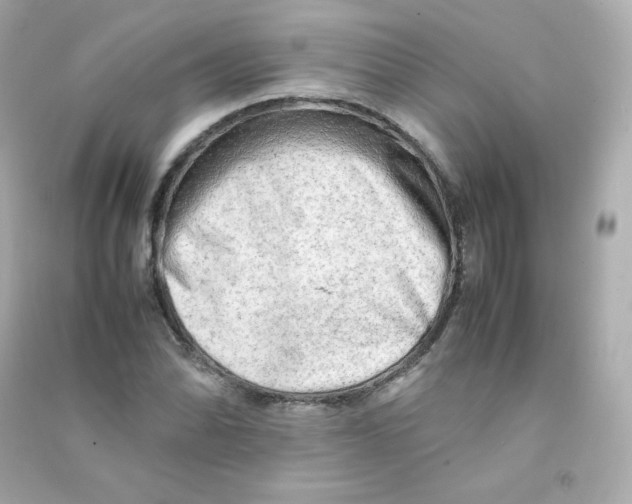X0000090431070200708102000