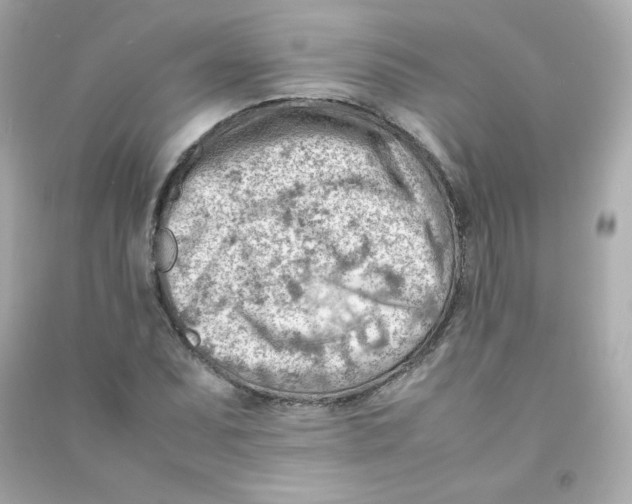X0000090431071200708102000