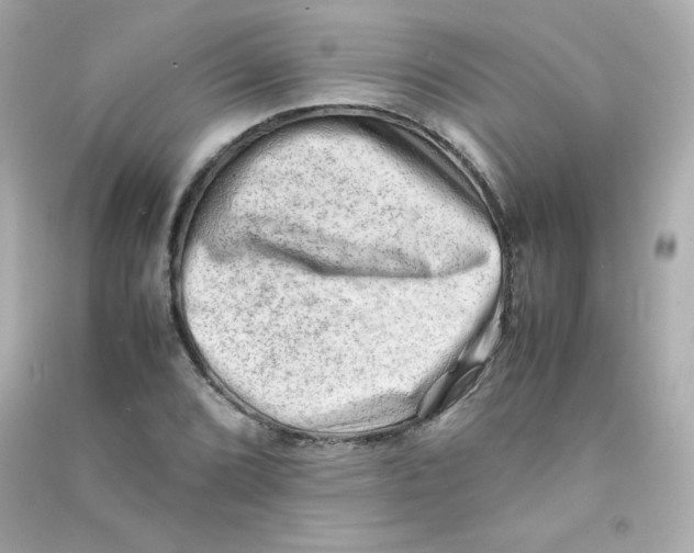 X0000090431072200708102000