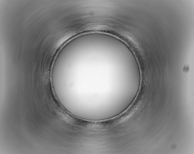 X0000090431073200708102000