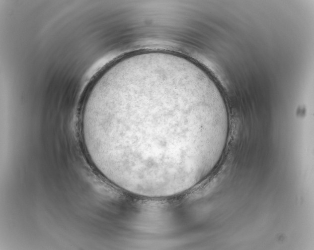 X0000090431074200708102000