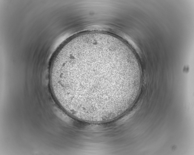 X0000090431075200708102000