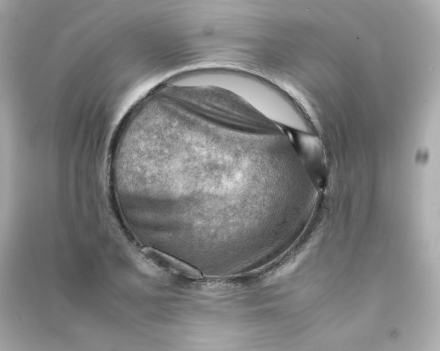 X0000090431077200708102000