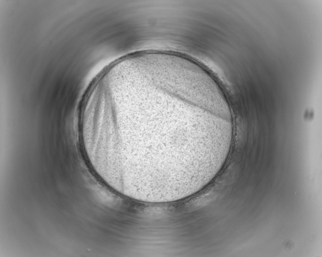 X0000090431078200708102000