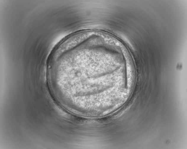 X0000090431079200708102000