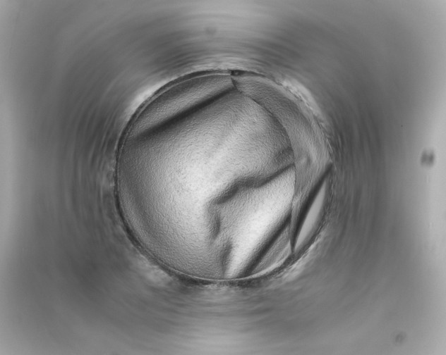 X0000090431081200708102000