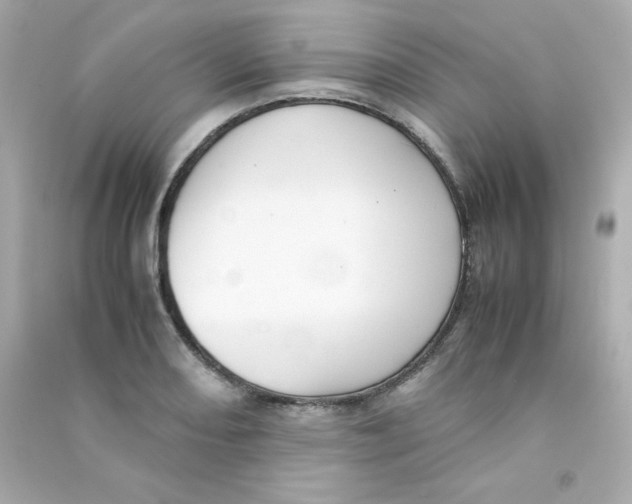 X0000090431082200708102000