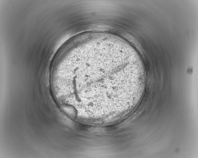 X0000090431083200708102000