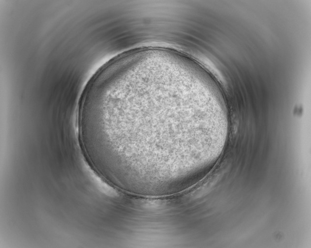 X0000090431084200708101959
