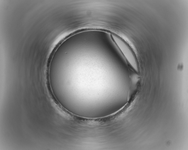 X0000090431085200708101959