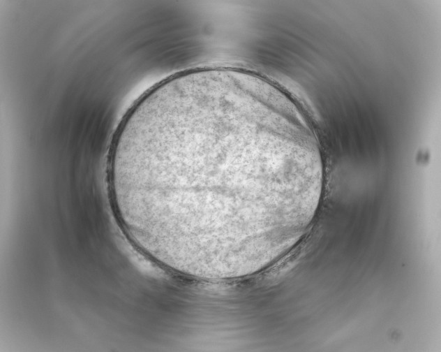 X0000090431086200708101959