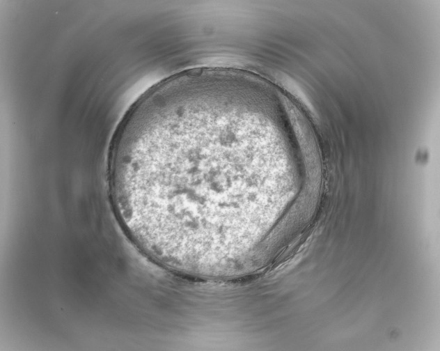 X0000090431087200708101959