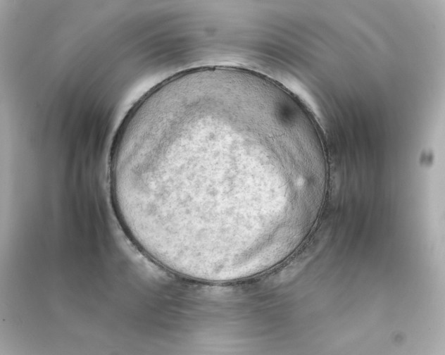 X0000090431088200708101959
