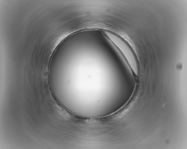 X0000090431089200708101959