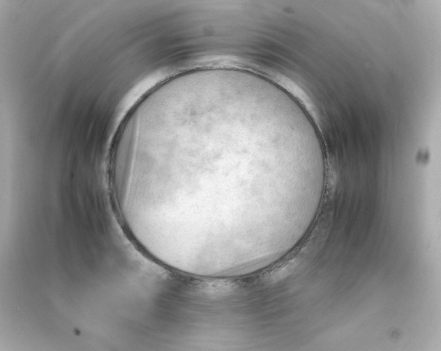 X0000090431090200708101959
