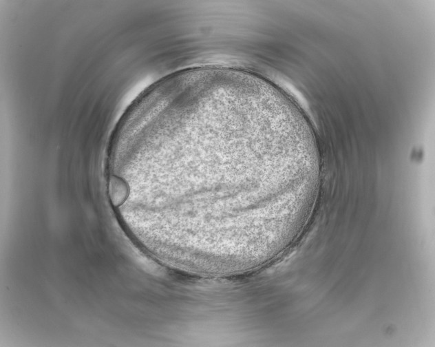 X0000090431091200708101959