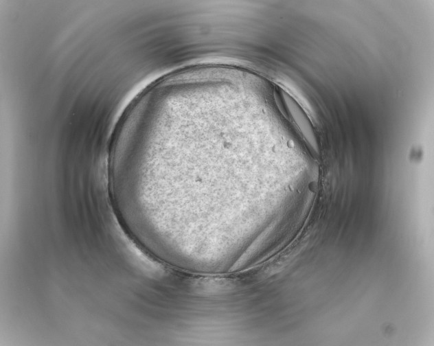 X0000090431092200708101959