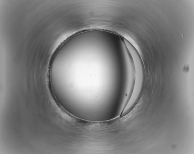 X0000090431093200708101959
