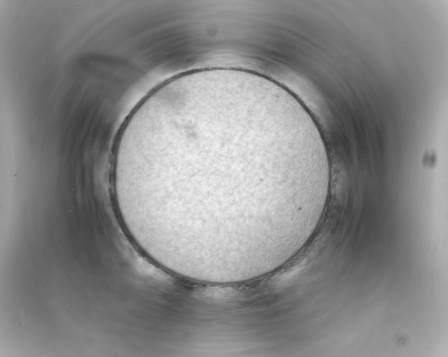 X0000090431094200708101959