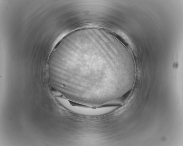 X0000090431097200708101959