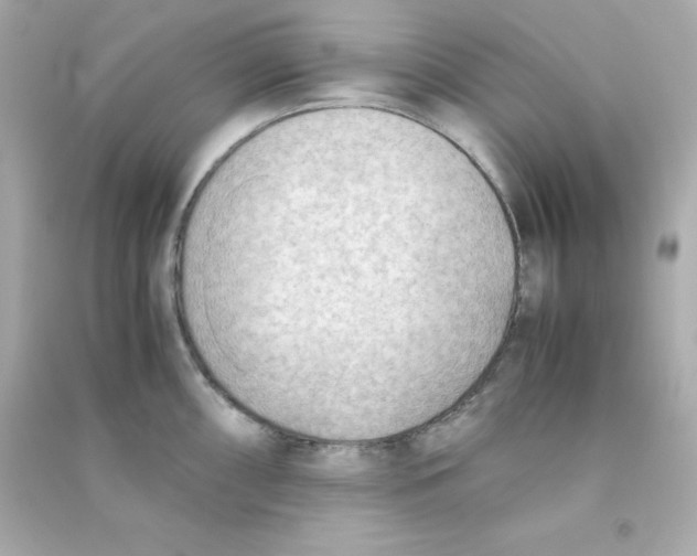 X0000090431098200708101959