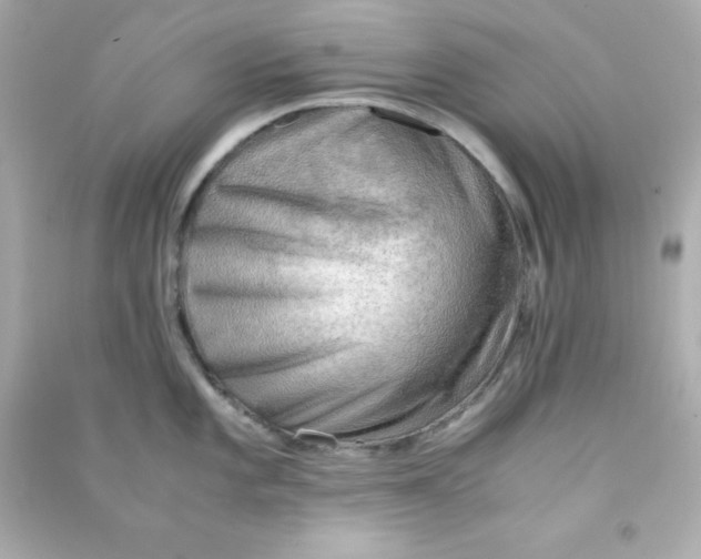 X0000090431101200708101959