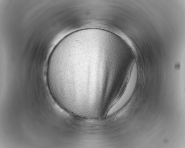 X0000090431102200708101959