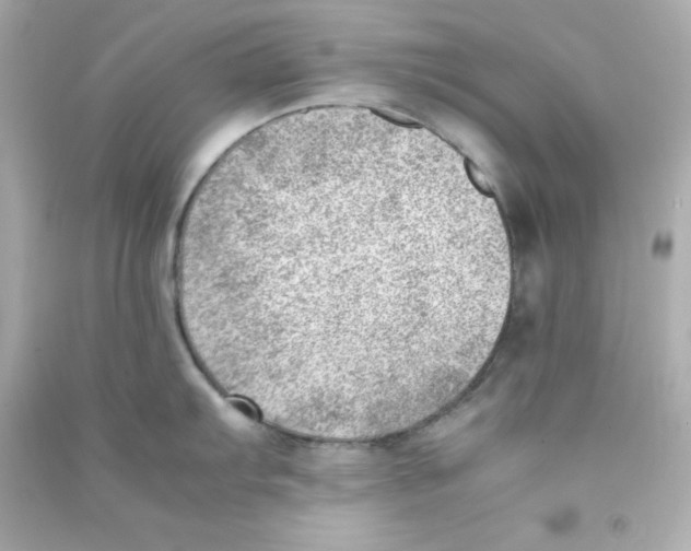 X0000090431103200708101959