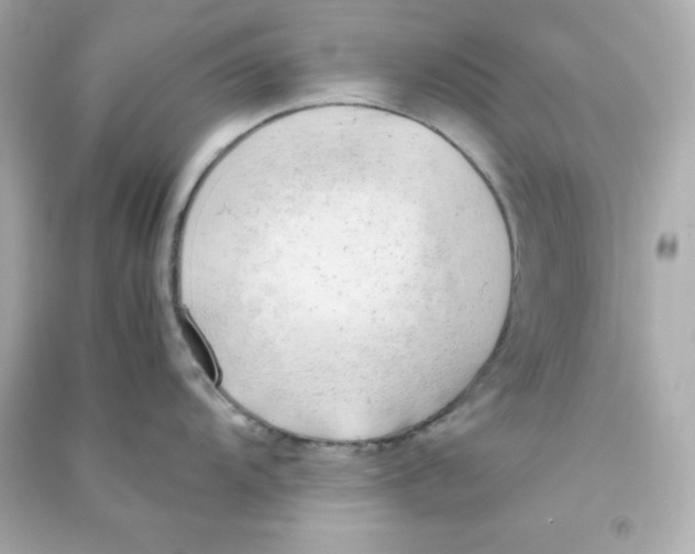 X0000090431104200708101959