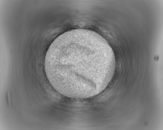 X0000090431105200708101959