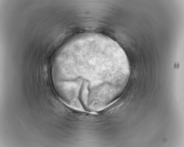 X0000090431106200708101959
