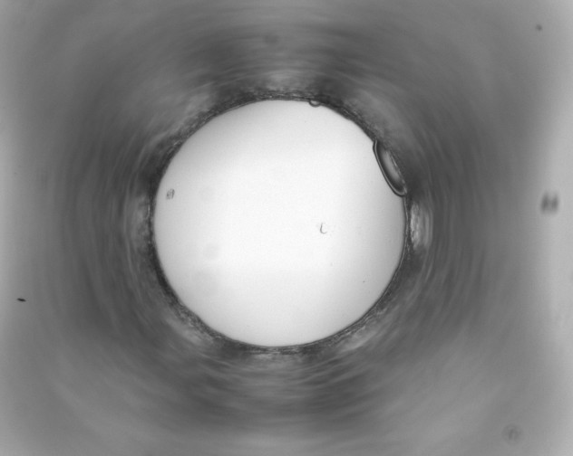 X0000090431107200708101959