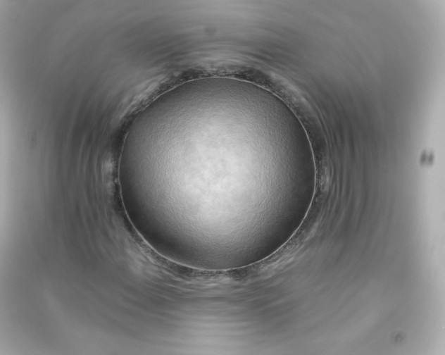X0000090431108200708101959