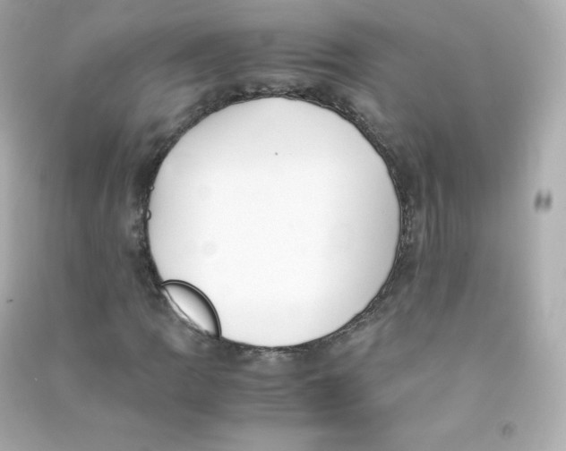 X0000090431109200708101959