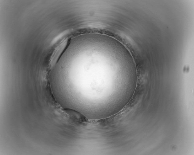 X0000090431110200708101959