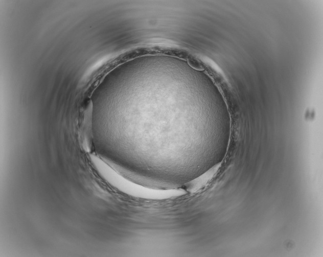 X0000090431112200708101959