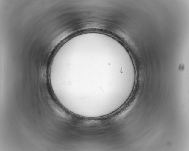 X0000090431113200708101959