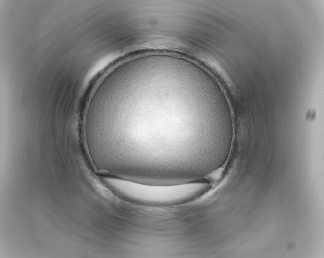 X0000090431114200708101959
