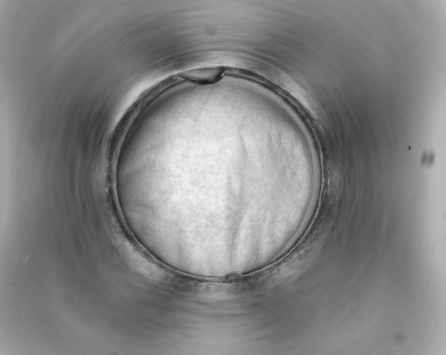 X0000090431116200708101959