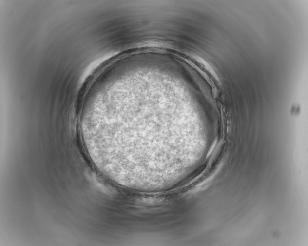 X0000090431117200708101959