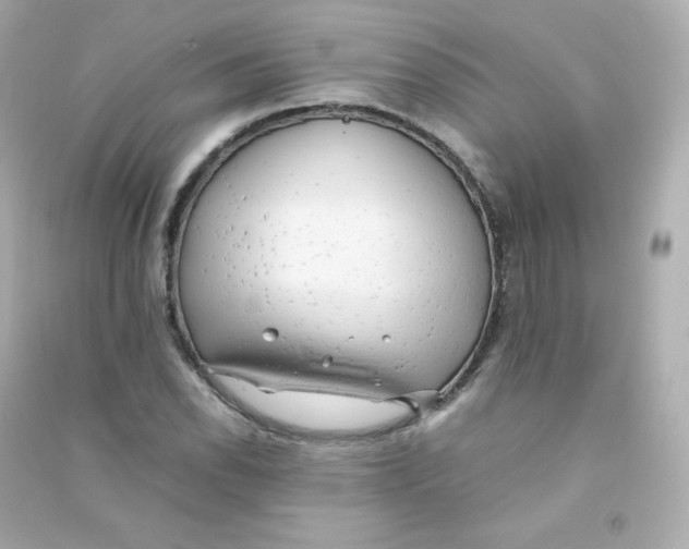 X0000090431118200708101959