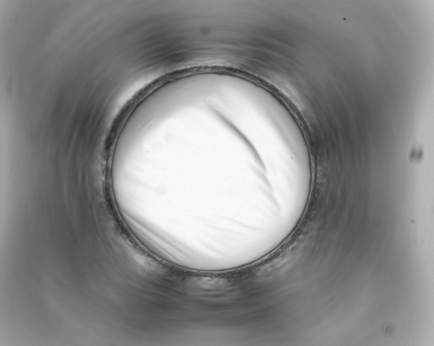 X0000090431119200708101959