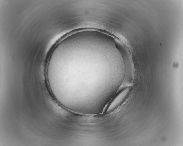 X0000090431120200708101959