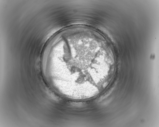 X0000090431121200708101959