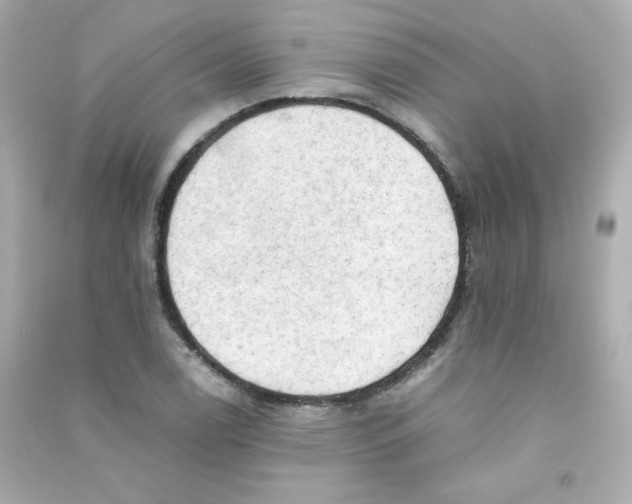 X0000090431122200708101959