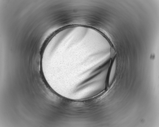 X0000090431123200708101959
