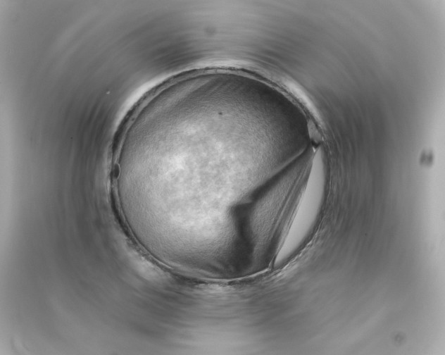 X0000090431124200708101959