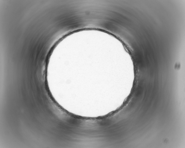 X0000090431126200708101959