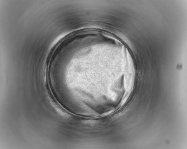 X0000090431127200708101959