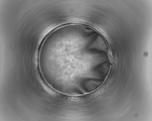 X0000090431128200708101959